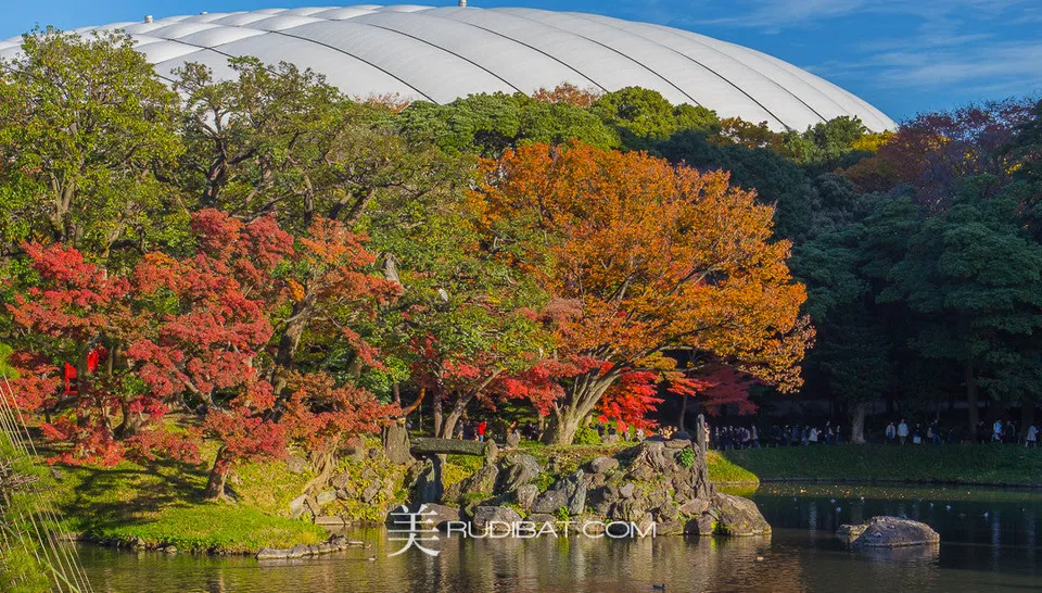 Colour – Autumn Colour in Koishikawa Korankuen Gardens Tokyo Autumn 2015